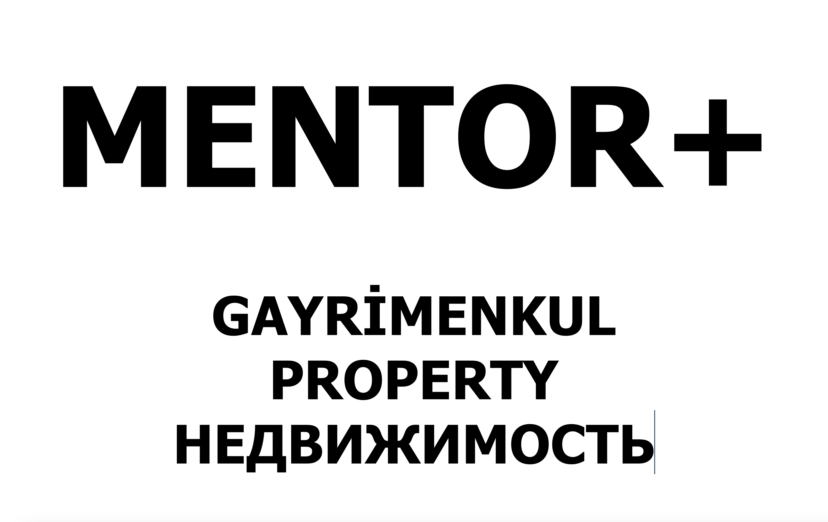 Mentor Plus Gayrimenkul